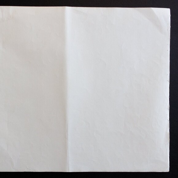 A LOAD OF FUEL - ZUÑI  #70 Edward Sheriff Curtis Print - Picture 7 of 15